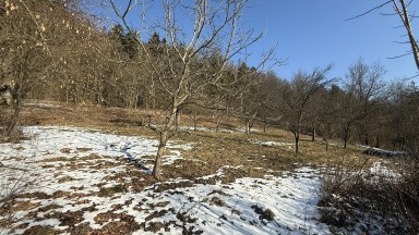 Prodej pozemku pro výstavbu rekreačního objektu 3 339 m² - Staré Město - Petrušov