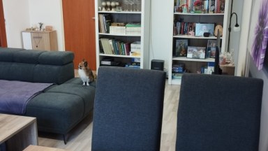 Pronájem bytu 3+1 82 m², Svitavy - Lány