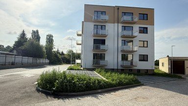 Podnájem družstevního bytu 2+kk v novostavbě v Holicích